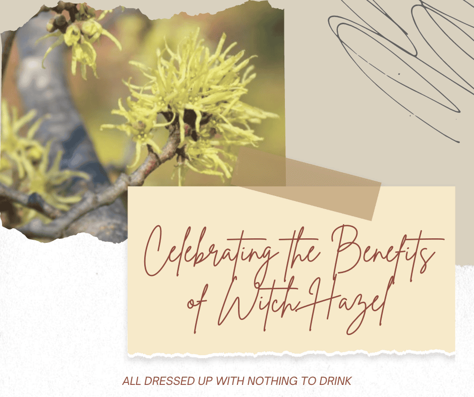Benefits of witch hazel