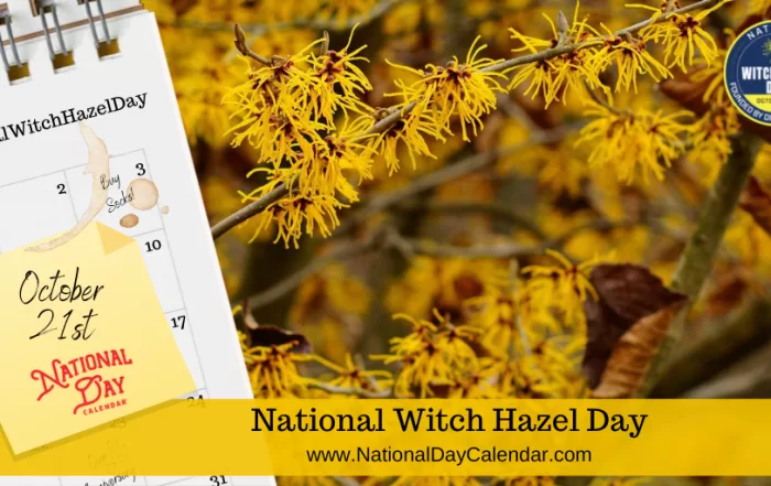 The Best Witch Hazel Products In 2025, According To Skincare Experts 8 National witch hazel day october 21st. Png